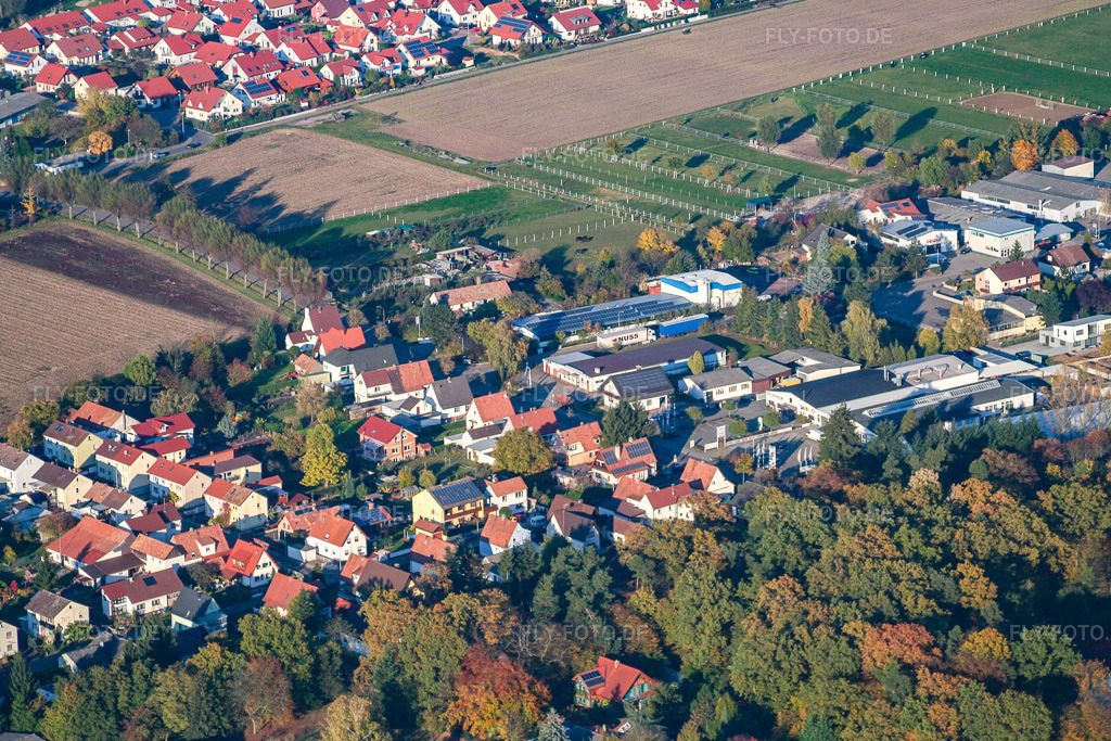 Luftbild: Luitpoldstr in Herxheim bei Landau im Bundesland Rheinland-Pfalz in Deutschland. Foto: IMG_14405.jpg vom 25.10.2008 durch Werner Riehm/FLY-FOTO.de