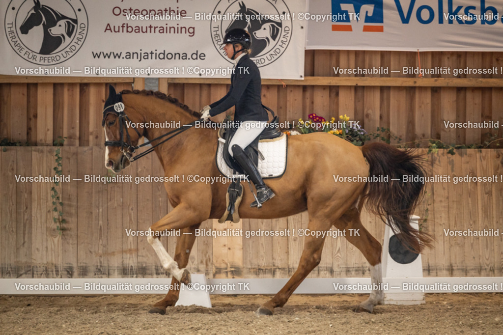 _D5A9202 | Emotionale Pferde- & People-Fotografie rund um Heidelberg, Leimen & Umgebung. Natürliche Fotos von Pferd, Mensch & Familie. Jetzt Termin sichern!