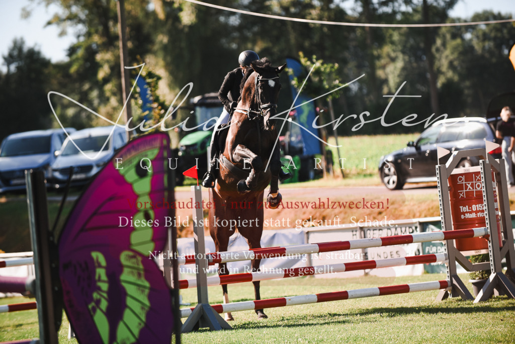 DSC_2353 | Pferde- und Turnierfotografie in Westsachsen. Pferdeportraits, Auftragszeichnungen und intuitive Kunst.