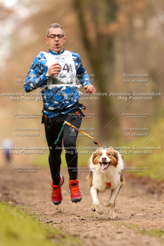 Dog Paparazzi - Speedhunter Mannheim  2025-258 | Dog Paparazzi Jeanette Grottendiek Fotografie & Videografie