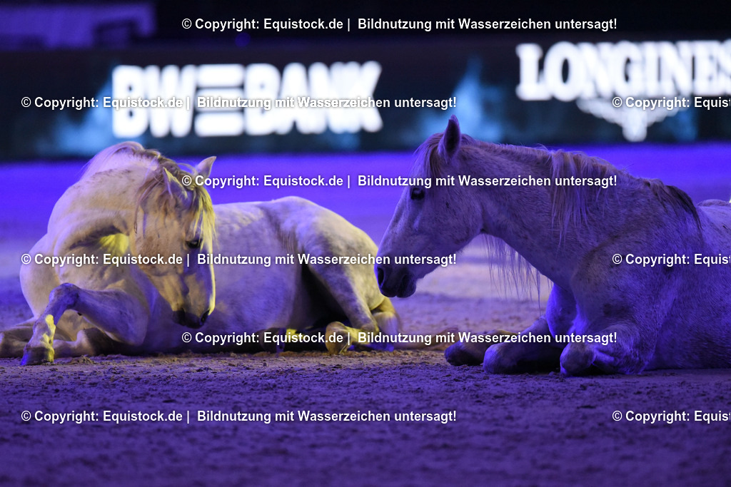 20231115_Show-Jean-Francois-Pignon_0209_TOMsPiC | Foto: Thomas Hartig