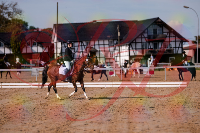 2026_10_03_Siefer-Hof_115418_Z81_93231465 | Professionelle Reitsport-, Turnier- und Eventfotografie von Robert Broda. Galerien mit ausgewählten und bearbeiteten Bildern direkt online ansehen und bestellen.