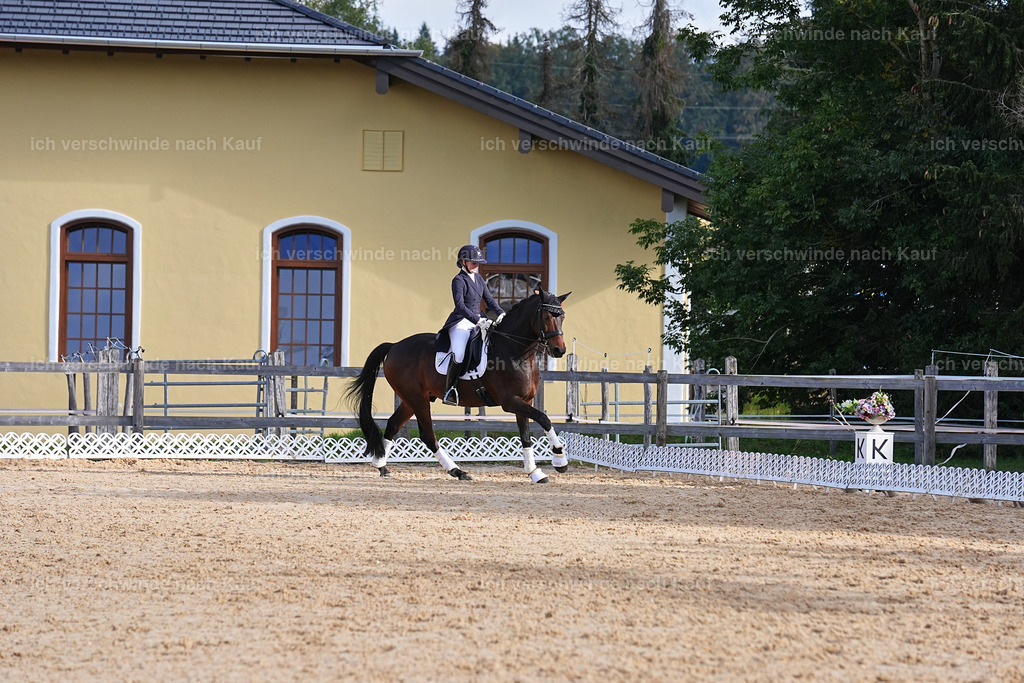 09_1-Siegerehrung-DRESSUR  S_  -Marixx-5680 | working equitationturnier fotograf videograf stoibphotography marixx film working equitation deutschland reitsport turnierfotografie eventfotografie equestrian events