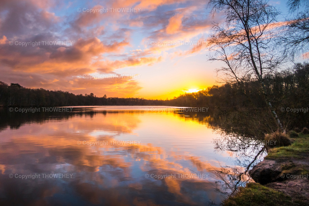 _2830496 | thowehey - Realisiert mit Pictrs.com