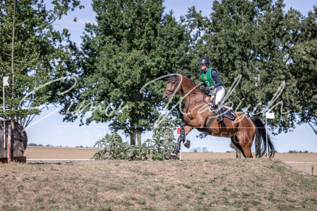 20260906-_3LI5589 | Tierfotografie Pferde, Hunde, Katzen, Haustiere.
Turnierfotografie Reitturniere, Reiten, Springreiten, Dressur in Hanau, dem Main-Kinzig-Kreis und dem Rhein-Main- Gebiet um Frankfurt