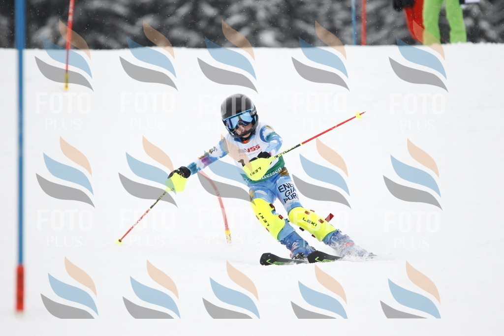 A2135 | holidayphoto