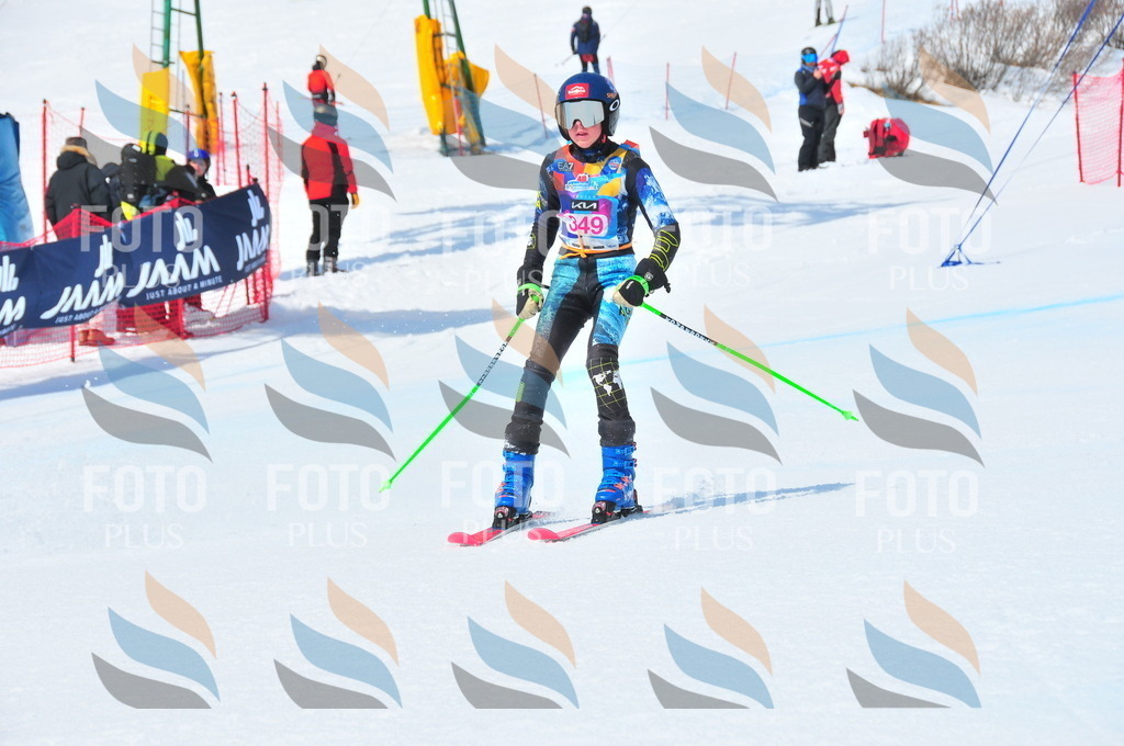 DSC_6962 | holidayphoto