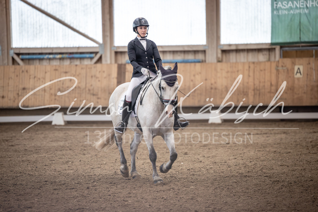 20251011-_3LI0616 | Tierfotografie Pferde, Hunde, Katzen, Haustiere.
Turnierfotografie Reitturniere, Reiten, Springreiten, Dressur in Hanau, dem Main-Kinzig-Kreis und dem Rhein-Main- Gebiet um Frankfurt