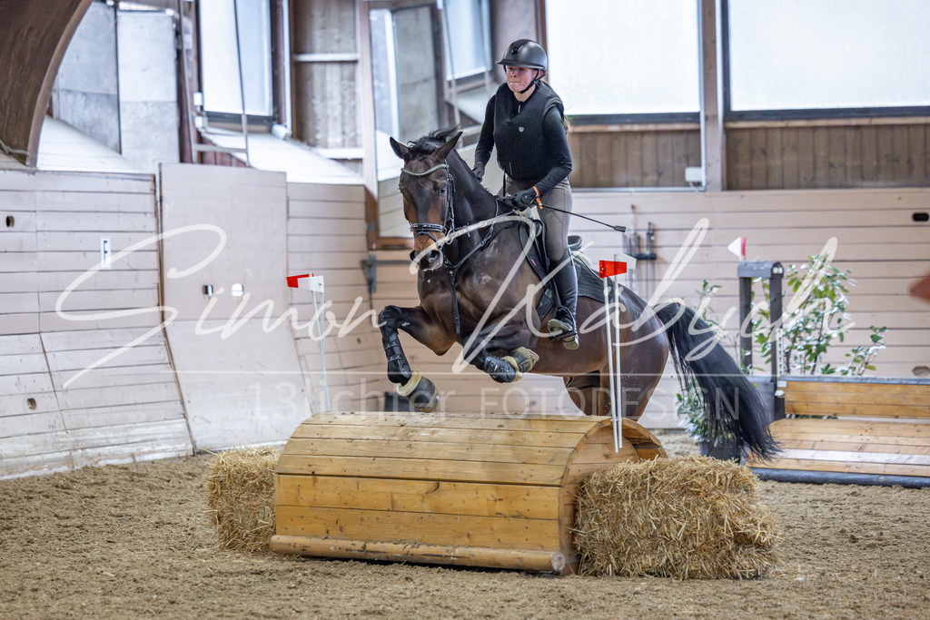 20260221-_3LI0556 | Tierfotografie Pferde, Hunde, Katzen, Haustiere.
Turnierfotografie Reitturniere, Reiten, Springreiten, Dressur in Hanau, dem Main-Kinzig-Kreis und dem Rhein-Main- Gebiet um Frankfurt