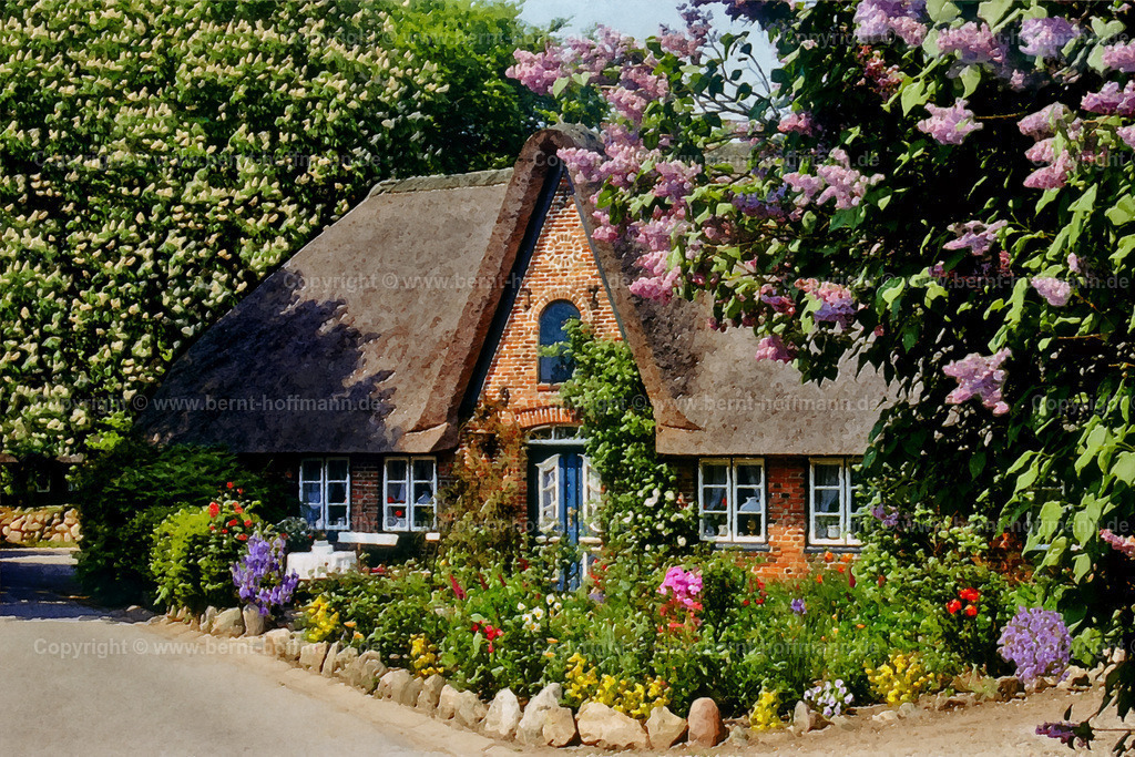 PDM2_Keitum_BunterGarten1_120x80 | DIGITALKUNST. Keitum, Bunter Garten -01. __ Das " Takerhus " im Takerwai mit Gartenblumen in Keitum auf Sylt. Historisches Friesenhaus mit Reetdach im Mai zur Baumblüte - mit Kastanie und lila Fliederstrauch. - Realisiert mit Pictrs.com