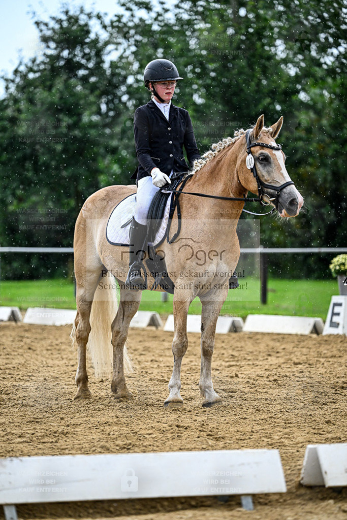 Reitturnier Hasbergen | Entdecke hochwertige Reitturnierfotos von Foto Oger. Professionell, emotional und authentisch – jetzt Lieblingsmomente im Shop bestellen. - Realisiert mit Pictrs.com