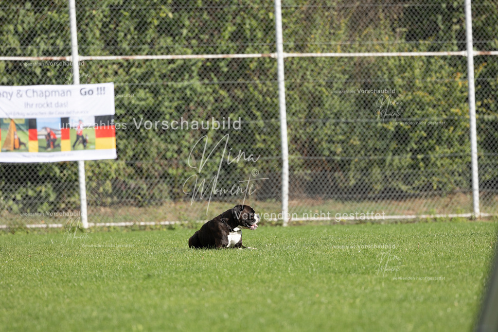 _16A6713 | Einzigartige Fotos von Hunden & Menschen –Actionfotos, Portraits, Vereinsaufnahmen & Paarshootings – authentisch, lebendig & mit Herz.