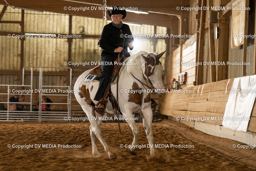 NID01709 | dv-media-shop - Realisiert mit Pictrs.com