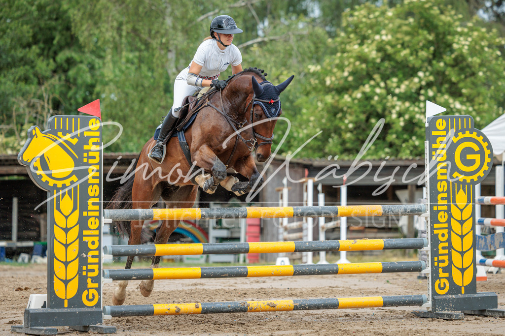20260530-_3LI2899 | Tierfotografie Pferde, Hunde, Katzen, Haustiere.
Turnierfotografie Reitturniere, Reiten, Springreiten, Dressur in Hanau, dem Main-Kinzig-Kreis und dem Rhein-Main- Gebiet um Frankfurt