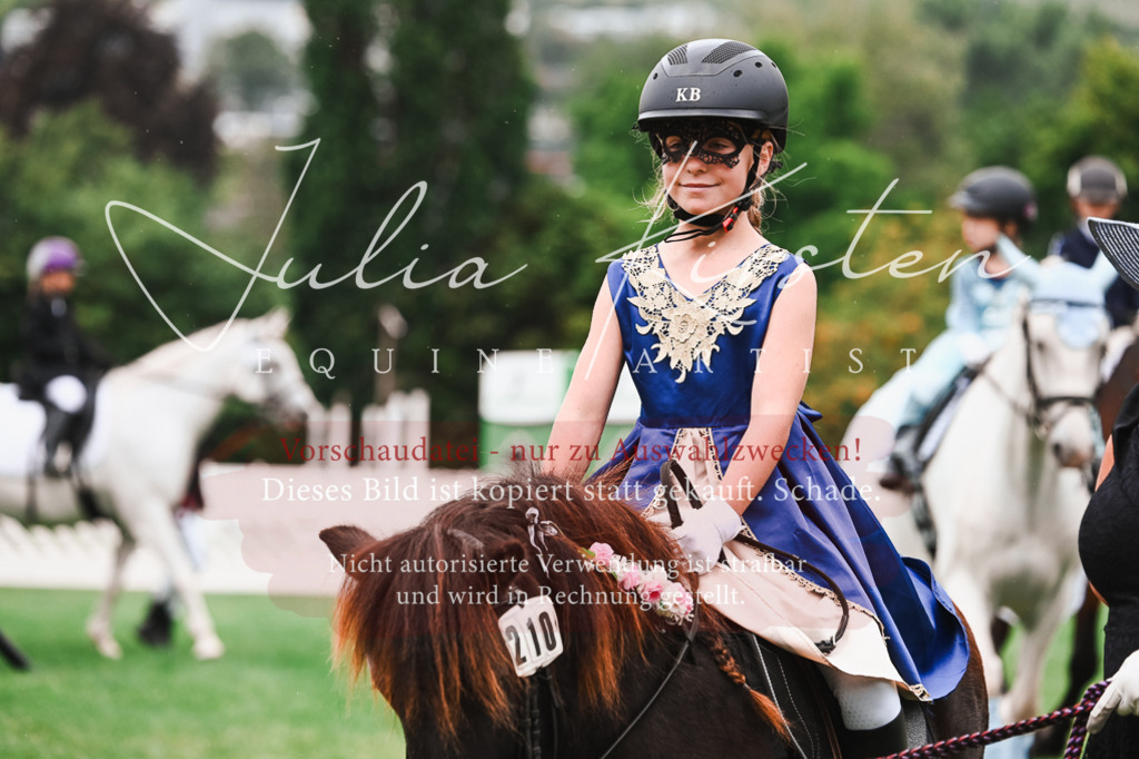 DSC_7333 | Pferde- und Turnierfotografie in Westsachsen. Pferdeportraits, Auftragszeichnungen und intuitive Kunst.