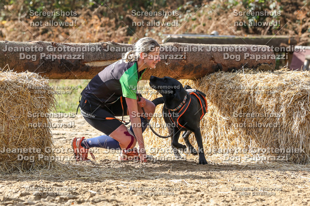 Dog Paparazzi - Strongdog 10-25-5734 | Dog Paparazzi Jeanette Grottendiek Fotografie & Videografie - Realisiert mit Pictrs.com