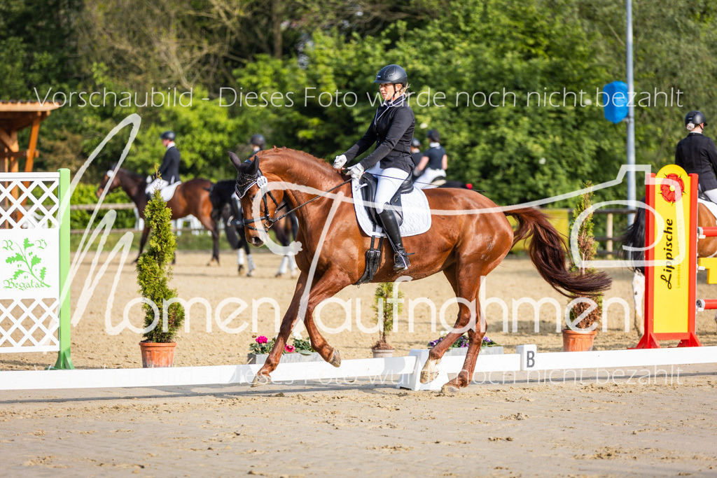 Donop24-A-Dre-024 | MomenTaufnahmen Pferdesportfotos