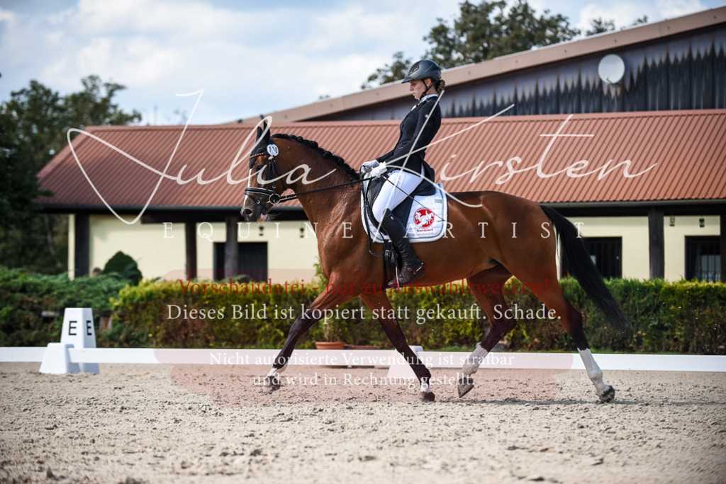 DSC_9480 | Pferde- und Turnierfotografie in Westsachsen. Pferdeportraits, Auftragszeichnungen und intuitive Kunst.