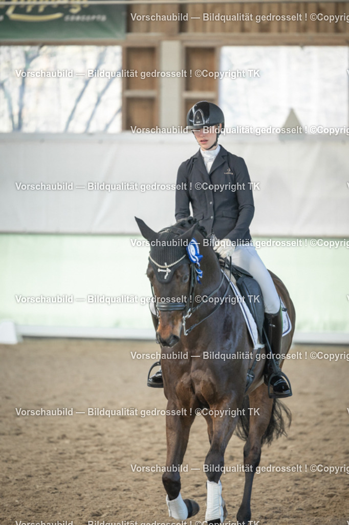 _D5A4550 | Emotionale Pferde- & People-Fotografie rund um Heidelberg, Leimen & Umgebung. Natürliche Fotos von Pferd, Mensch & Familie. Jetzt Termin sichern!