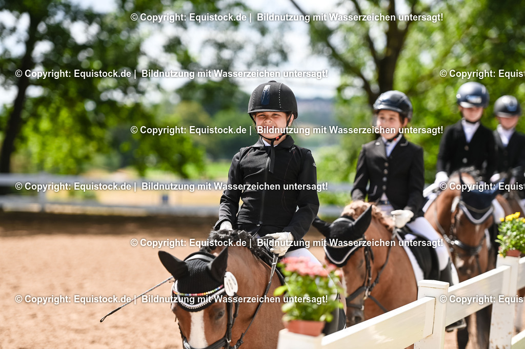 20230716_10-3_Reiter-WB Schritt - Trab - Galopp_0126 | equistock