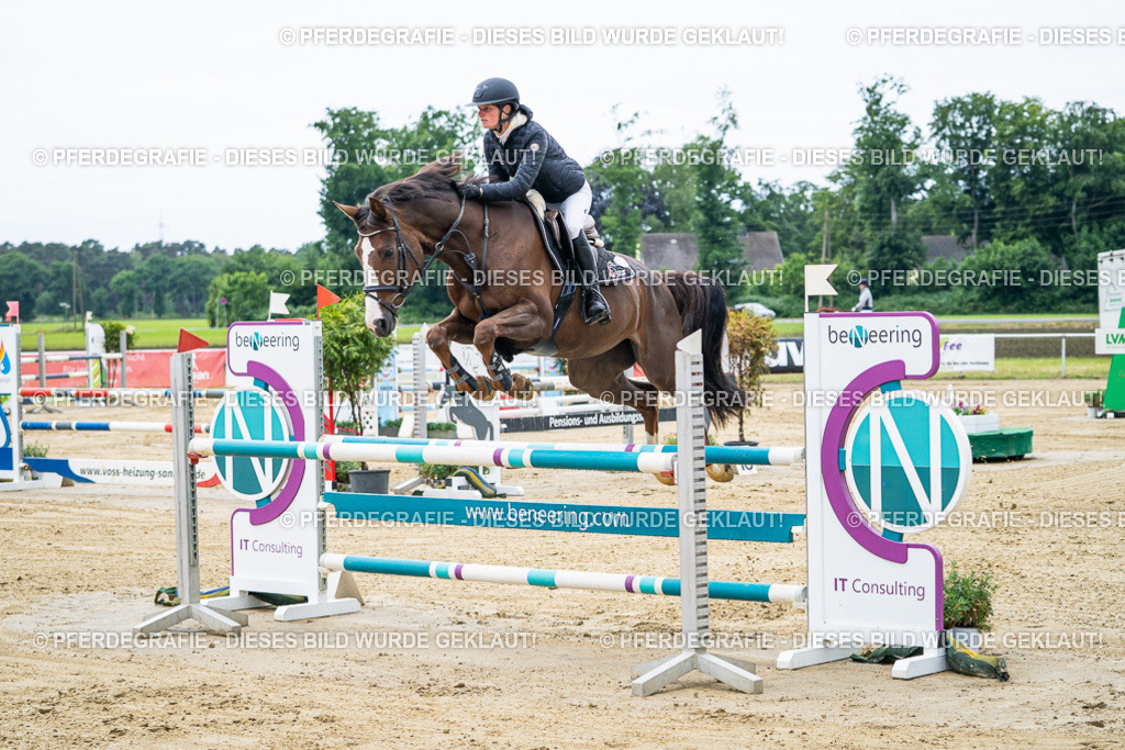 DSC04533 | Pferdegrafie