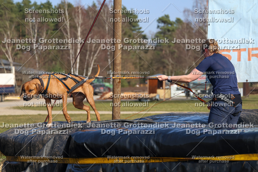 Dog Paparazzi - Strongdog North Mrz26-3219 | Dog Paparazzi Jeanette Grottendiek Fotografie & Videografie - Realisiert mit Pictrs.com