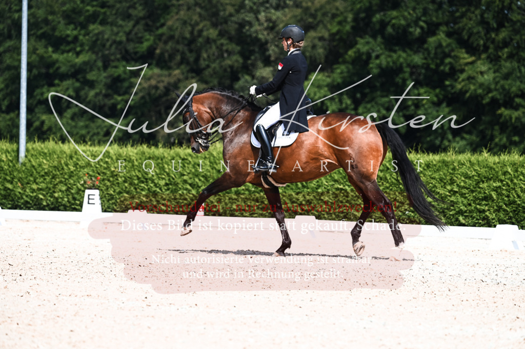 DSC_3065 | Pferde- und Turnierfotografie in Westsachsen. Pferdeportraits, Auftragszeichnungen und intuitive Kunst.