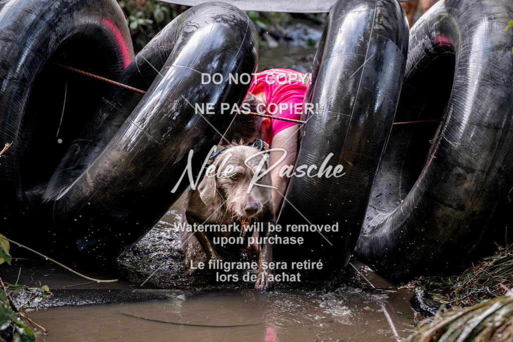 nelerasche_Hunsrück2026_Sa1400-1500_113 | nelerasche