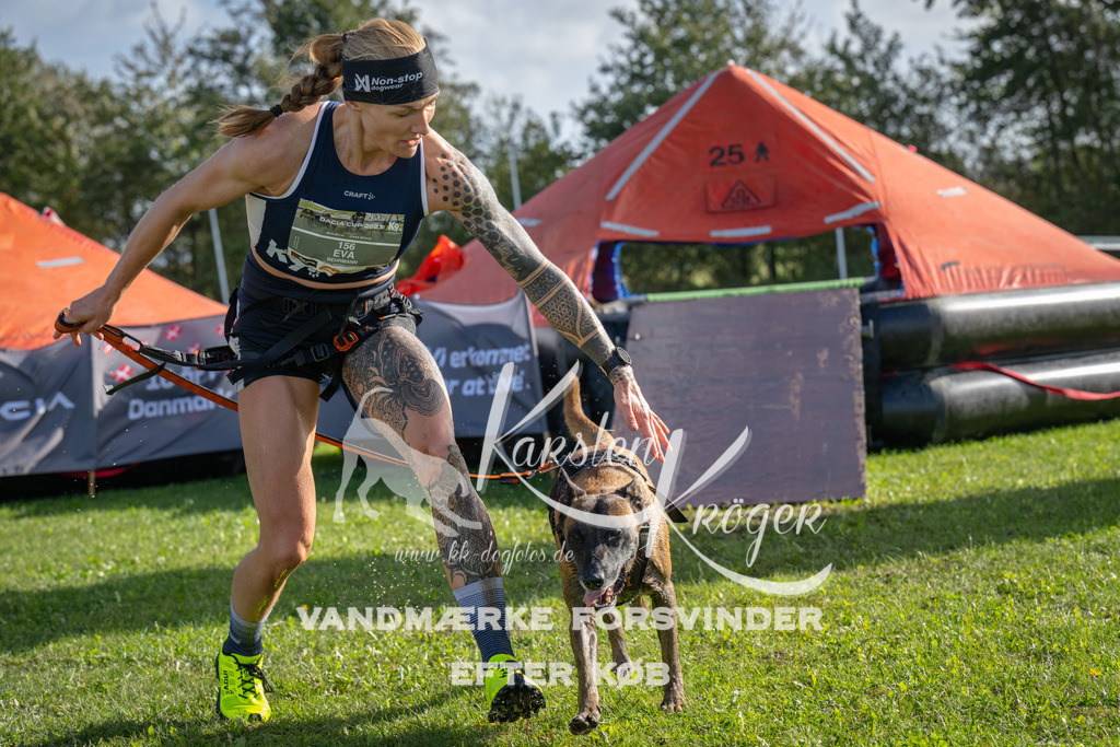 1204-92465 | kk-dogfotos