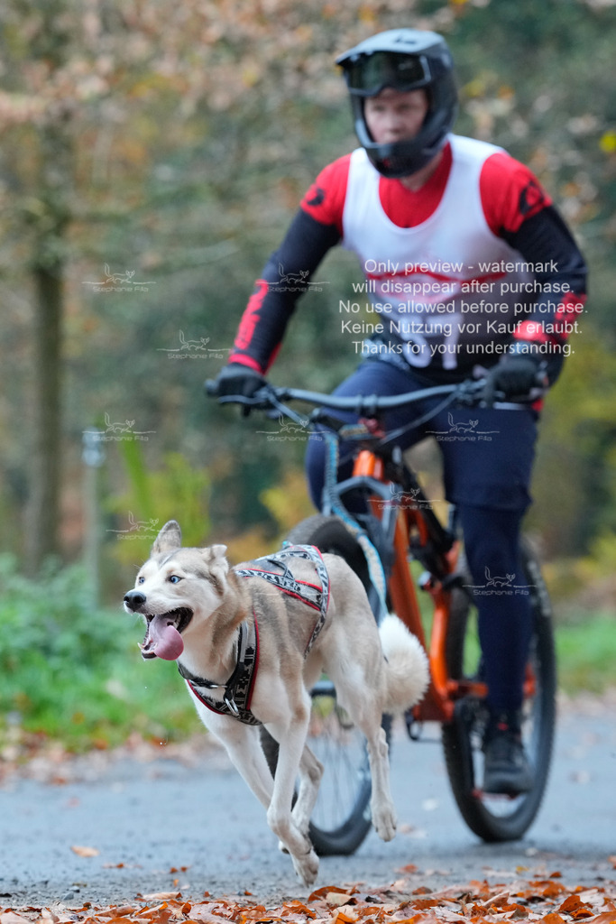 Bike_So-89 | stephaniefillaphotographie - Realisiert mit Pictrs.com