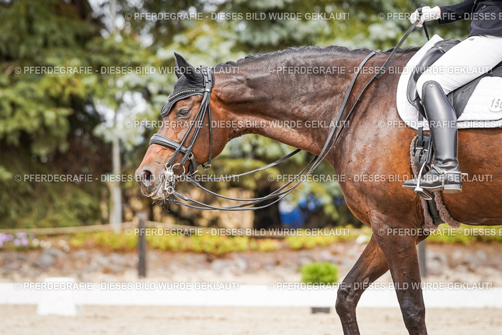 DSC05910 | Pferdegrafie