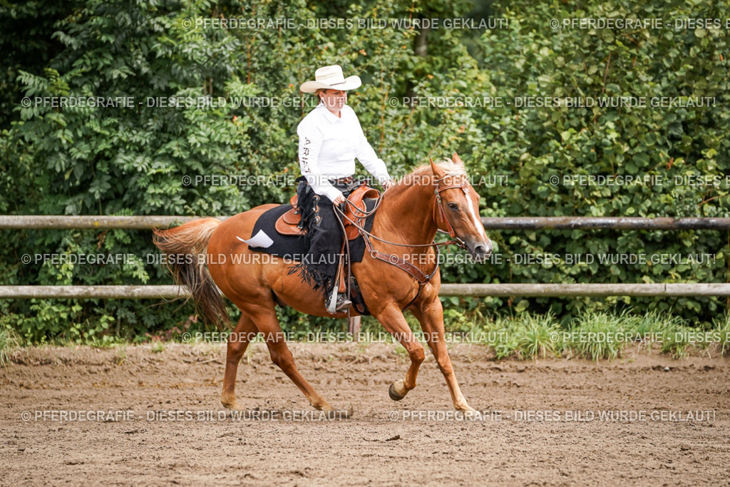 DSC06782 | Pferdegrafie