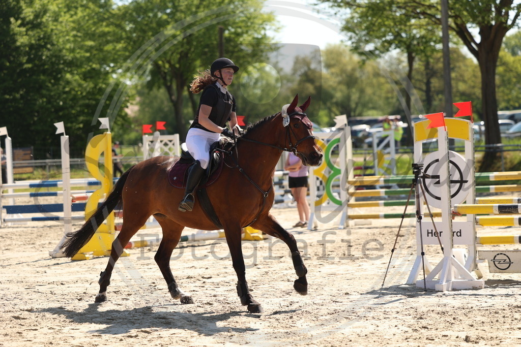 994A5625 | sabrinanicolaifotografie - Realisiert mit Pictrs.com