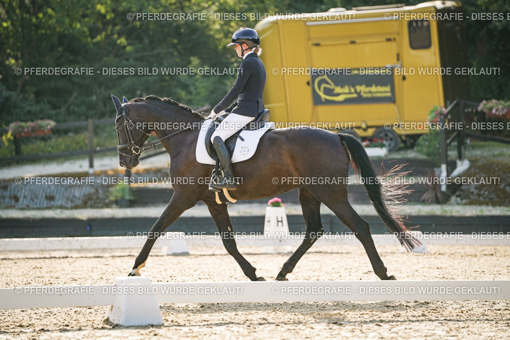 DSC08169 | Pferdegrafie