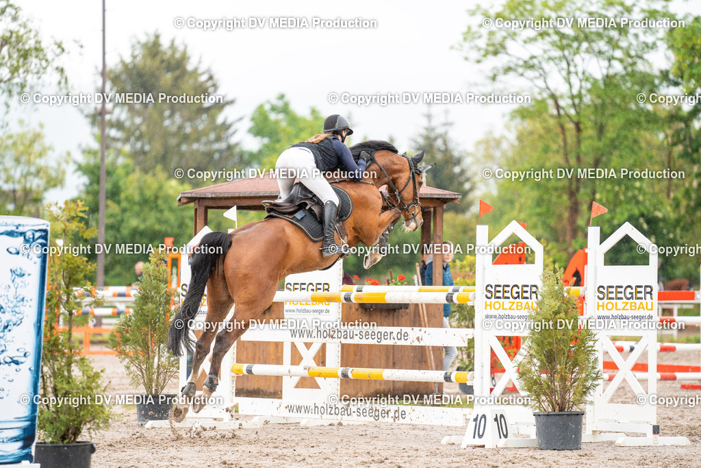 Eppelheim Tag 3-64 | dv-media-shop - Realisiert mit Pictrs.com