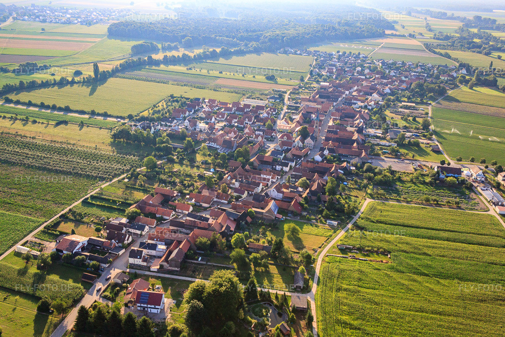 Luftbild: Dorfansicht aus Westen in Erlenbach bei Kandel im Bundesland Rheinland-Pfalz in Deutschland. Foto: IMG_70265.jpg vom 19.07.2014 durch Werner Riehm/FLY-FOTO.de
