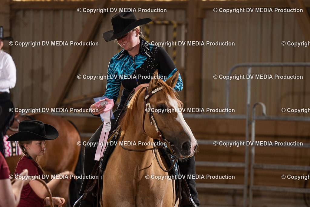 NID00441 | dv-media-shop - Realisiert mit Pictrs.com