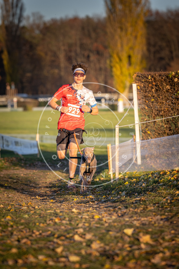 CaniXpix_DV3A5115 | Hundefotografie, Tierfotograf, Pfotenfotografie, Fotoshooting Hund, Hunde Portrait, Hundesport, Hundeportraits, Heideshooting, Hunde, Sportfotograf, Hundefotograf, Turnierhundsport, THS,  - Realisiert mit Pictrs.com