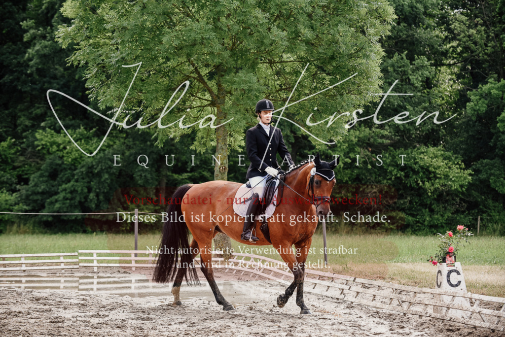 DSC_9760 | Pferde- und Turnierfotografie in Westsachsen. Pferdeportraits, Auftragszeichnungen und intuitive Kunst.