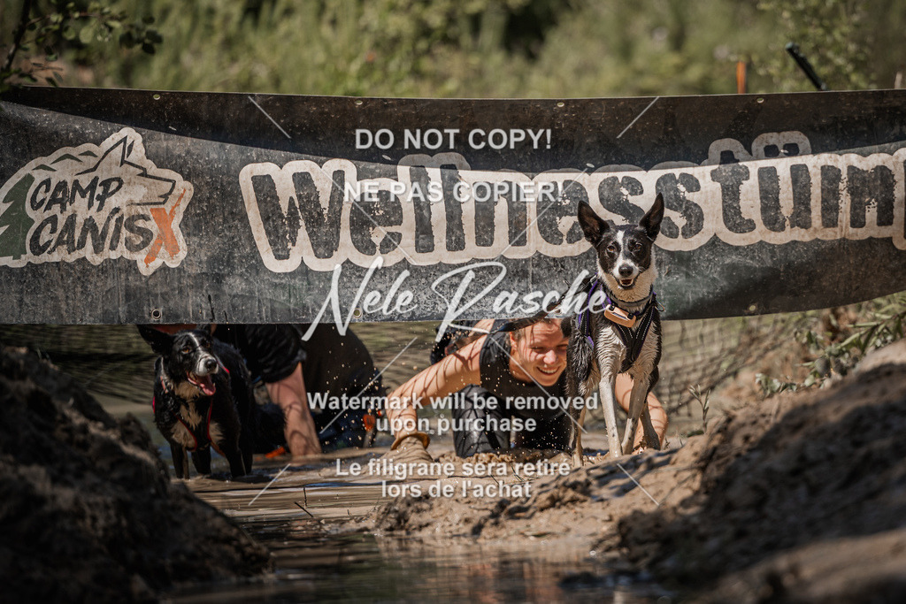 nelerasche_Hoope2026_Sa1430-1500_03 | nelerasche