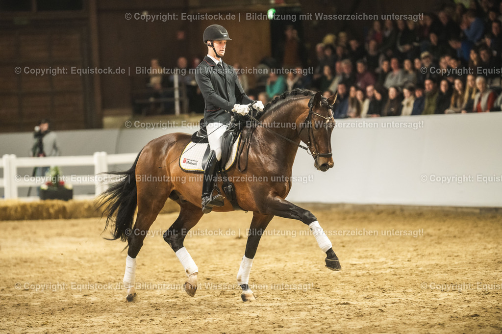 20240302_Hengstvorstellung_Marbach_TOMsPiC_1210 | equistock