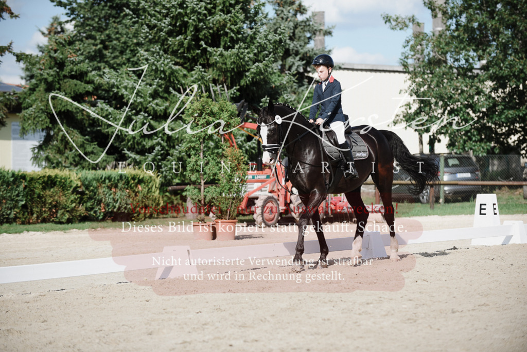 DSC_0002 | Pferde- und Turnierfotografie in Westsachsen. Pferdeportraits, Auftragszeichnungen und intuitive Kunst.