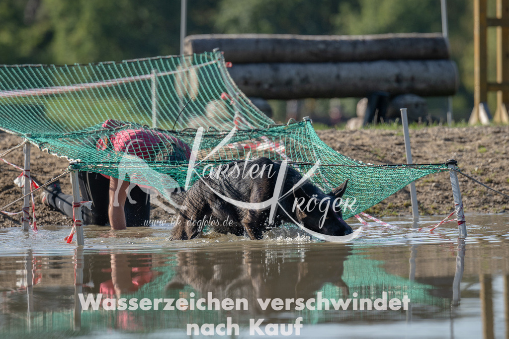 1344_ZZ91292 | kk-dogfotos