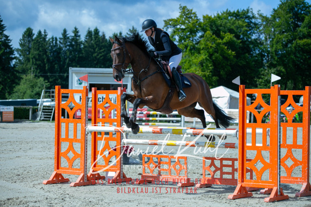 IMG_5486 | Turniersportfotografie; Pferdefotografie; Dressurfotografie