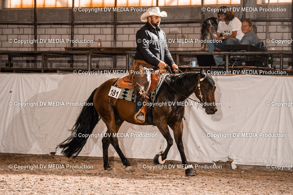 ZH100421 | dv-media-shop - Realisiert mit Pictrs.com