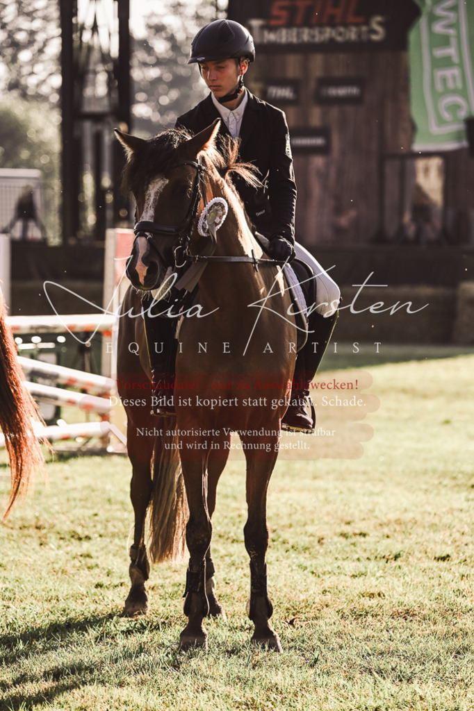 DSC_4567 | Pferde- und Turnierfotografie in Westsachsen. Pferdeportraits, Auftragszeichnungen und intuitive Kunst.