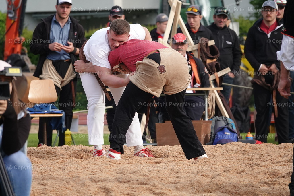 DSC03997 | Schwingen - Realisiert mit Pictrs.com