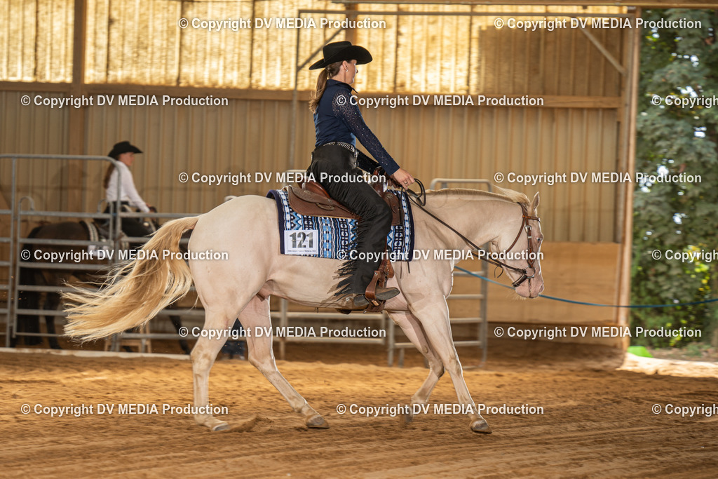 NID03227 | dv-media-shop - Realisiert mit Pictrs.com