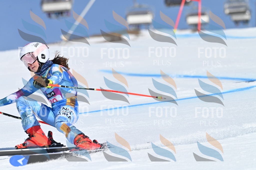 BGV_8911 | holidayphoto