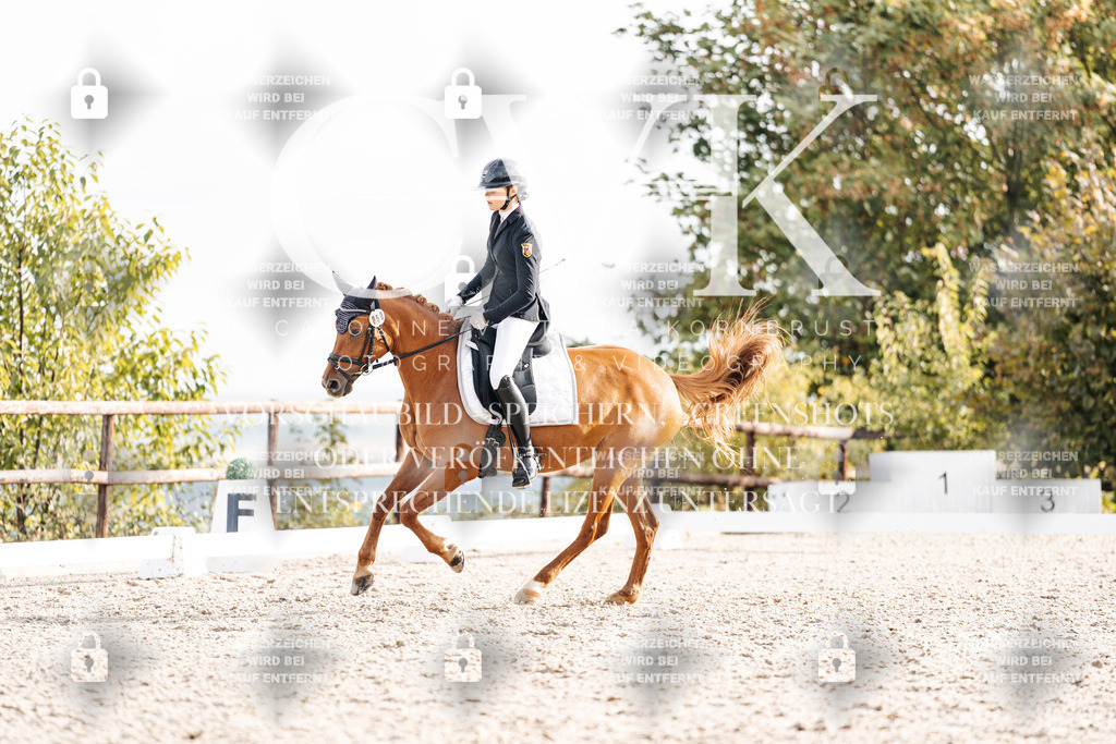 CK901120 | Turnierfotografie Pferdefotografie Trier Rheinland-Pfalz Pferdesport Reitsport Tierfotografie Sportfotografie Pferdevideo Pferdevideografie Equestrianvideography equestrianphotography  - Realisiert mit Pictrs.com